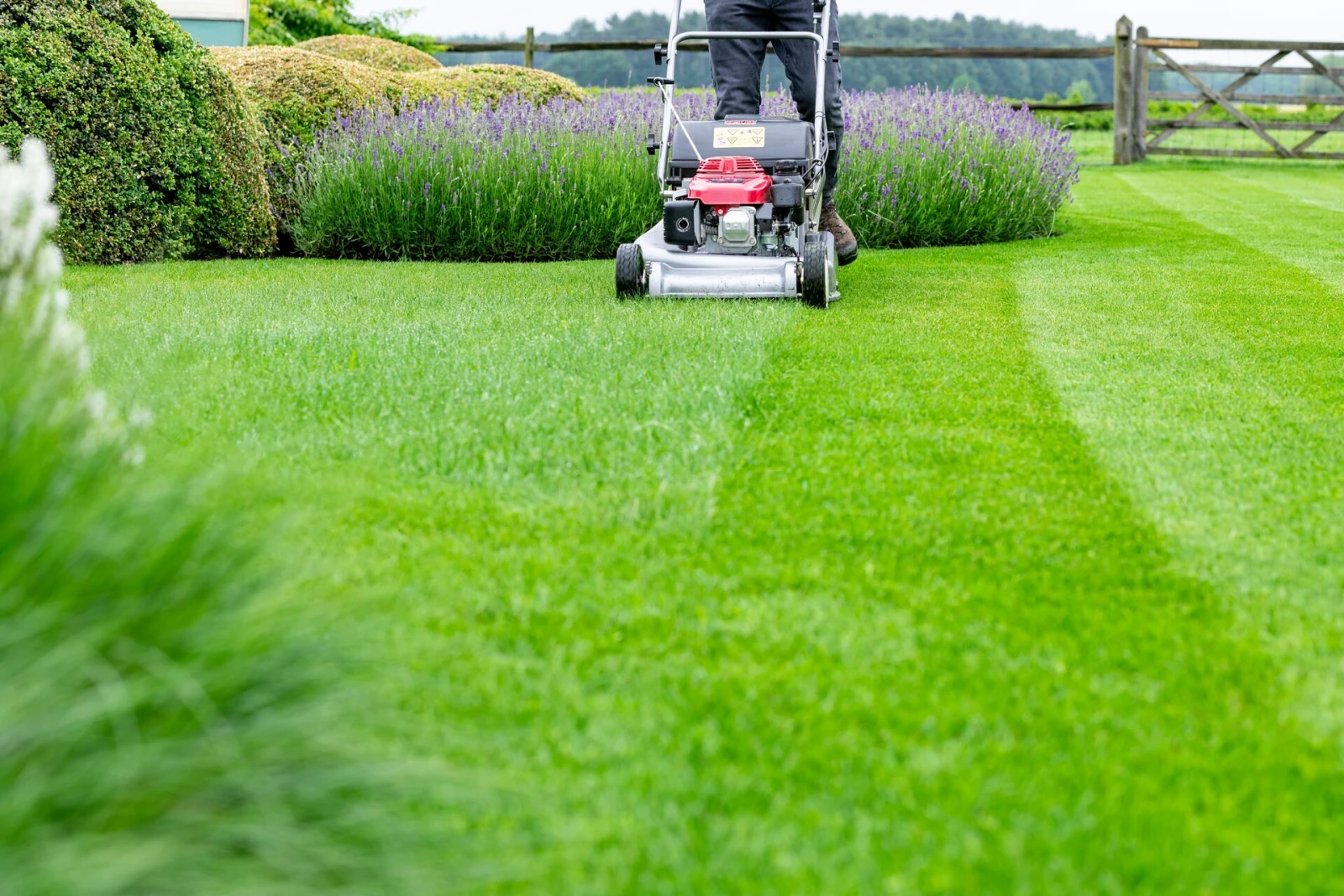 Entretien d'Espaces Verts